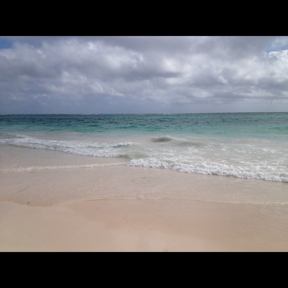 Meet your Posher, Edna